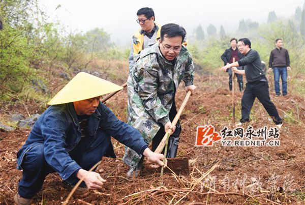 新葡萄8883官网amg党委书记陈弘与潮水铺村村支书一同种下金槐树苗